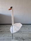 Чучело лебедя